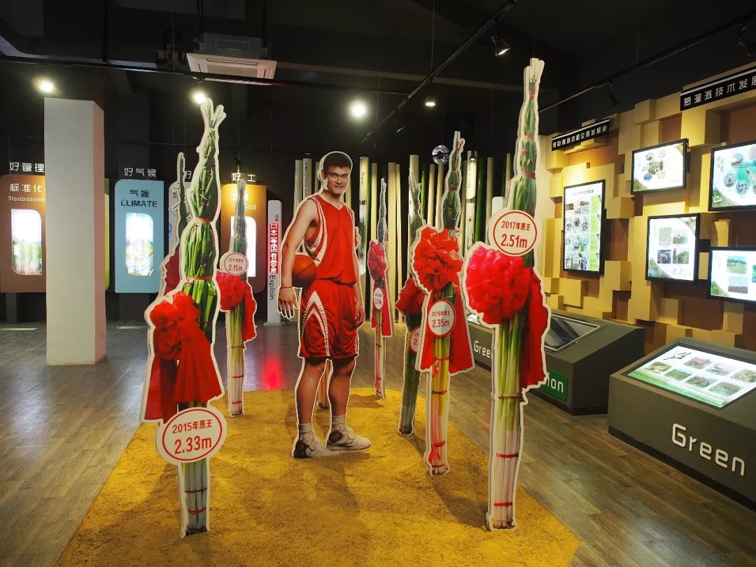 大众日报客户端·海报新闻好客山东丨山东人对大葱的眷恋,大概几十个酱缸也盛不下