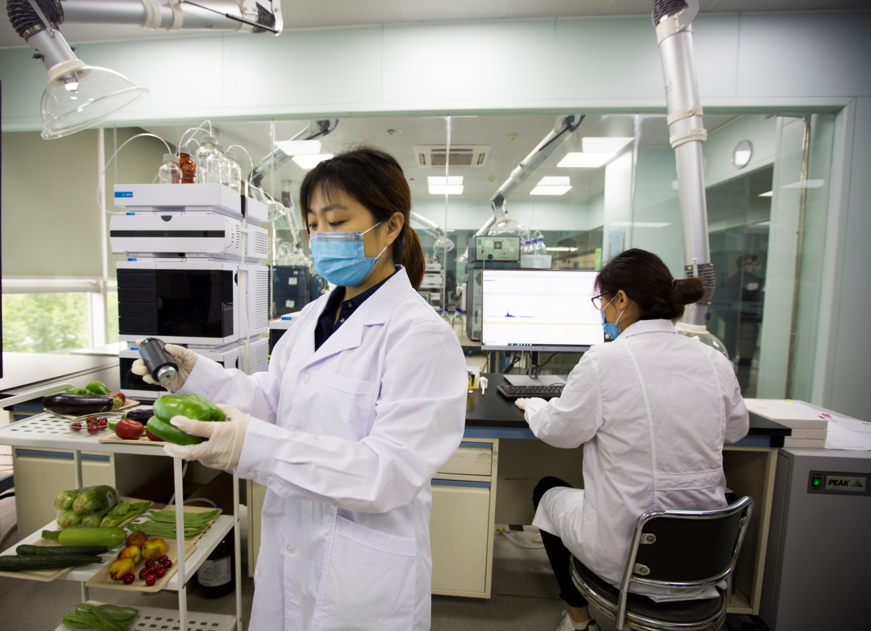 山东省农业科学院农业质量标准与检测技术研究所的工作人员正在检测青椒上的农药残留