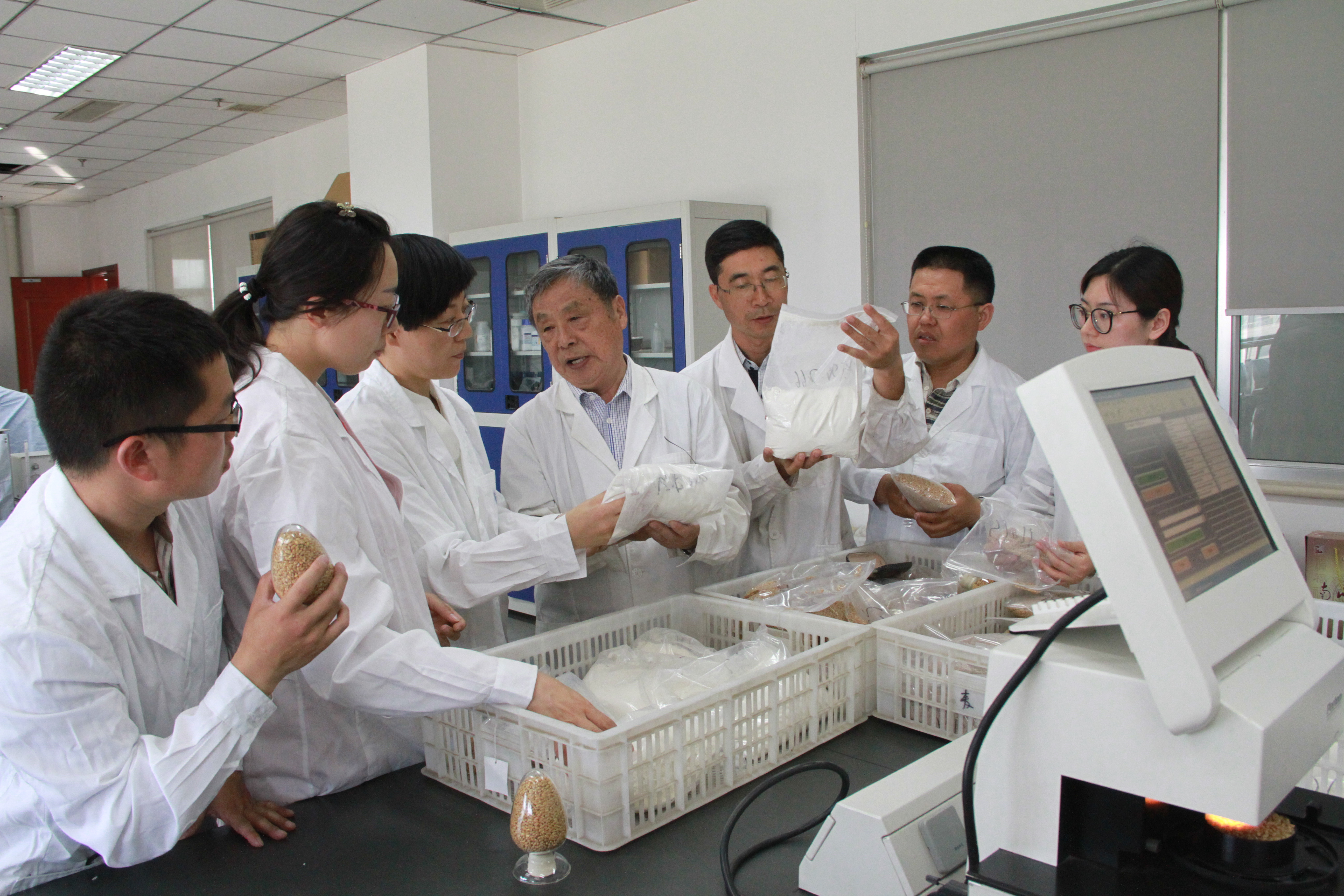山东省农科院作物所赵振东（中）院士团队在实验室查看小麦面粉性状 摄影 李青