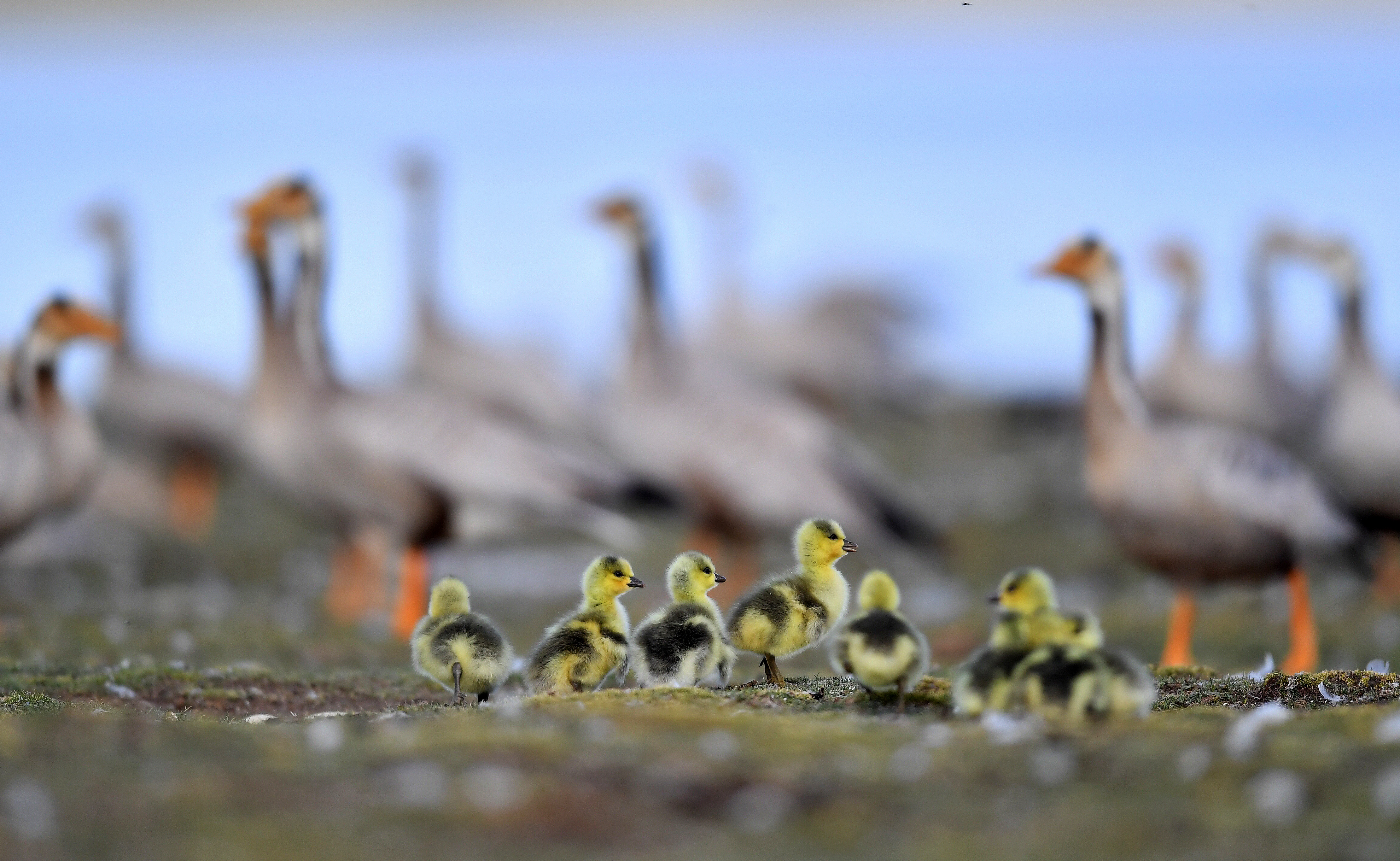 大众报业·大众日报镜头里的华夏丨希望与前行，这是愈挫愈勇的中国