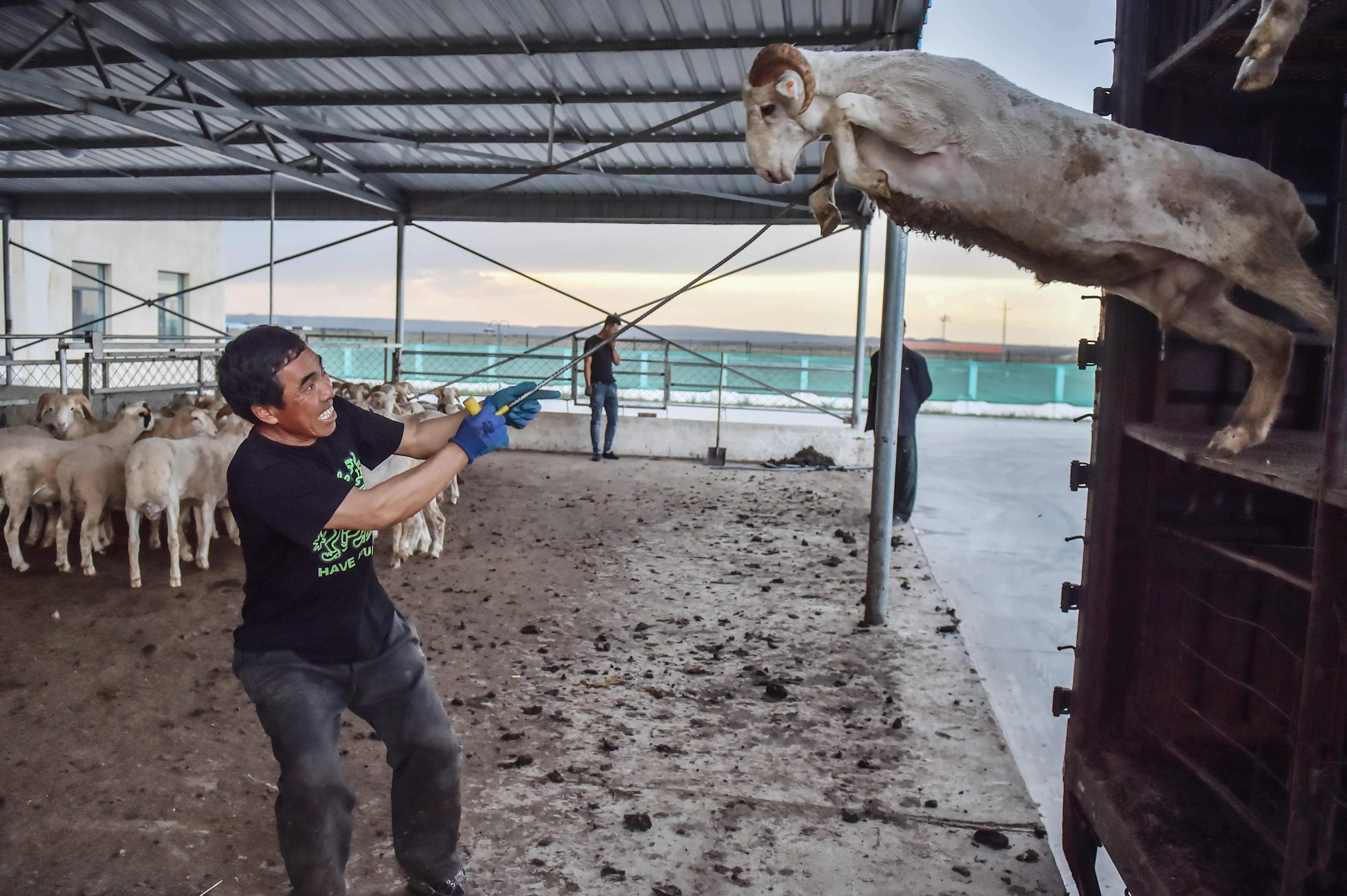 大众报业·大众日报镜头里的华夏丨希望与前行，这是愈挫愈勇的中国