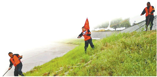 东阿县黄河河务局大桥管理段工作人员相互配合，探摸黄河大堤根石。（高田 报道）
