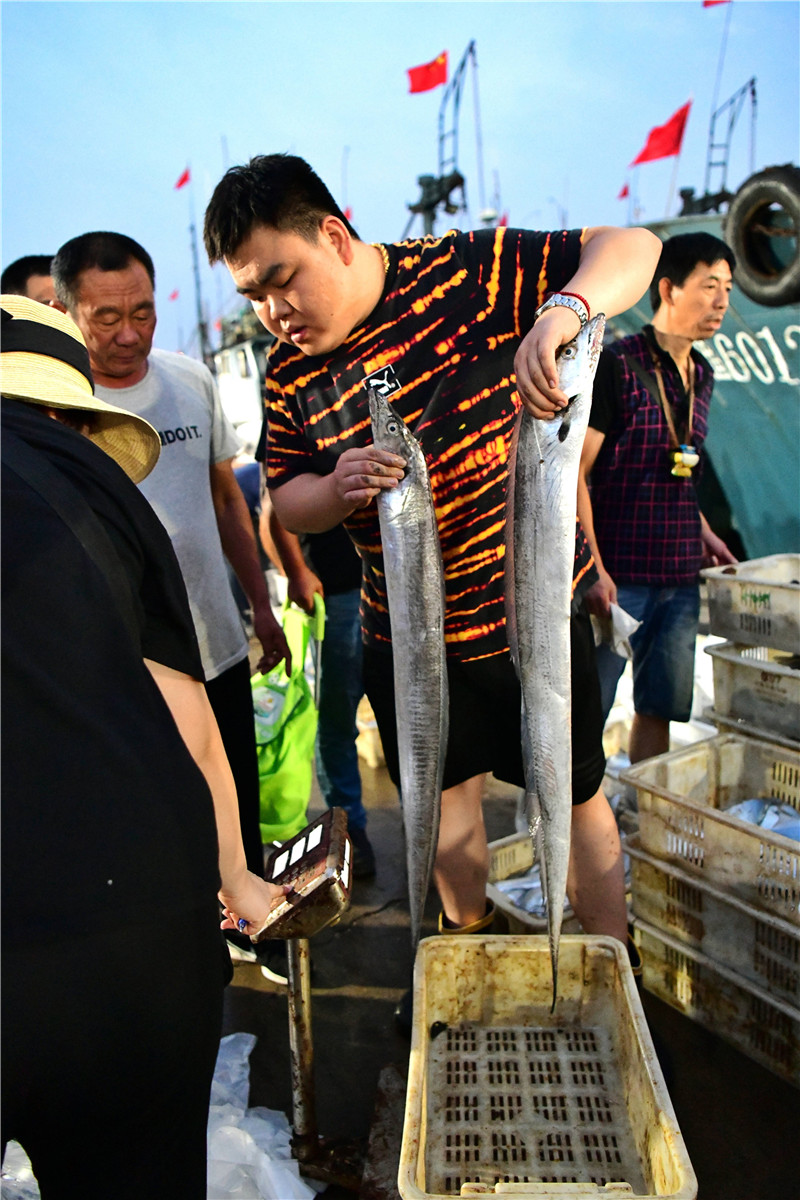 渔民为市民选购的大刀鱼称重。大众报业·青岛西海岸报记者 李亮 报道