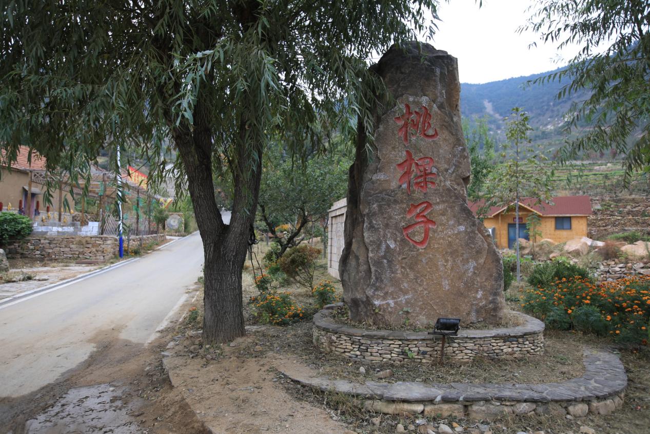 临沂市首批红色旅游特色村公布，沂水桃棵子村榜上有名_沂蒙