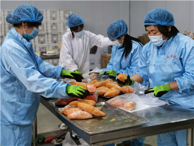 小松薯食品是后赵庄第一家红薯深加工企业，现有工人50余名。（记者 张双双 通讯员 刘振兴）