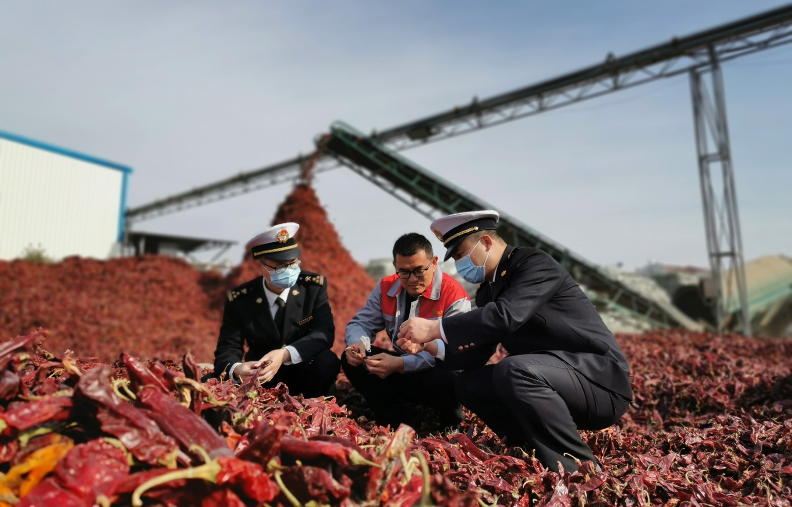 海关关员在辣椒生产企业原料加工环节调研 邹亚飞摄