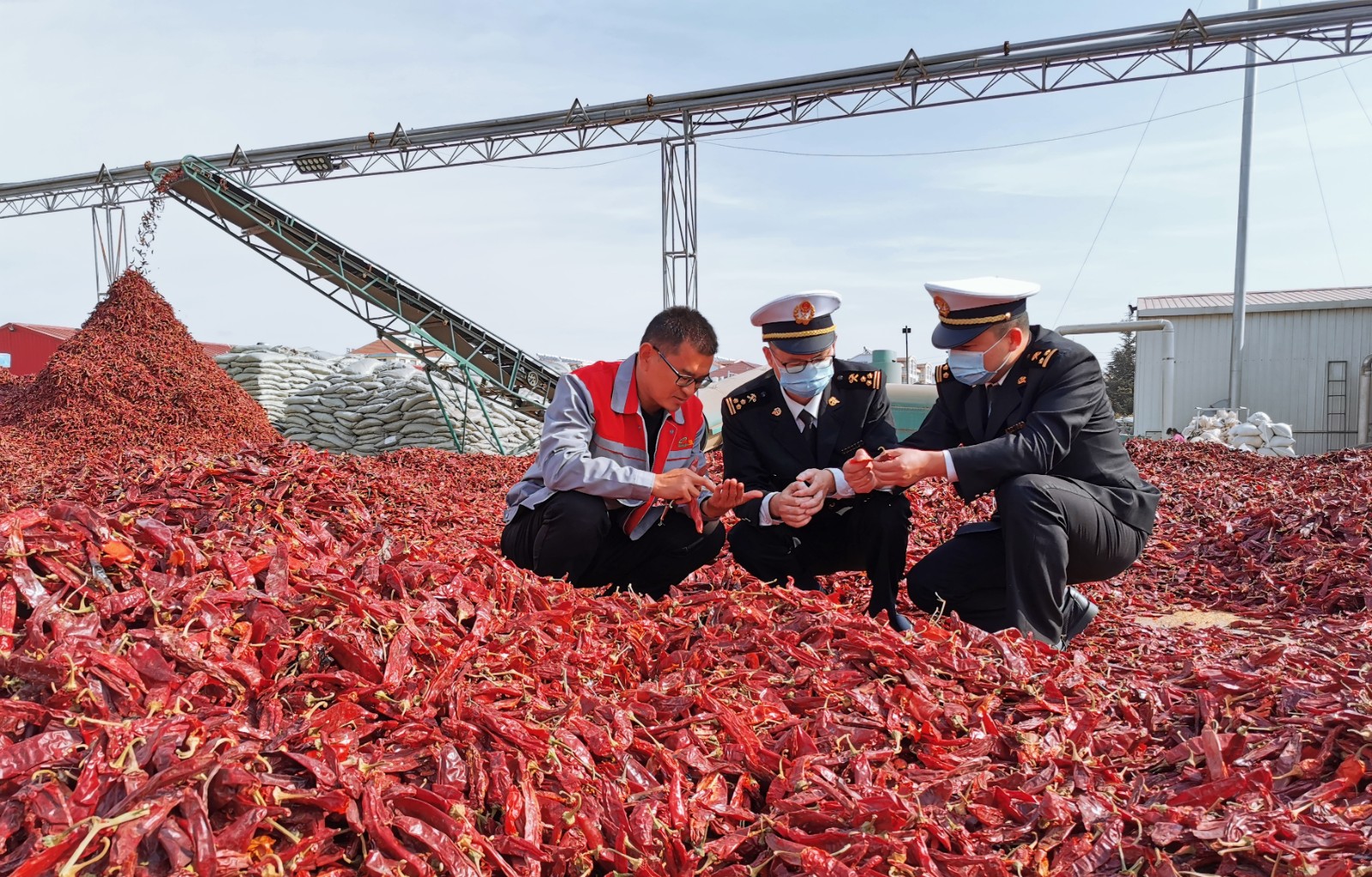 海关关员在企业车间对辣椒原料加工情况进行调研 邹亚飞摄