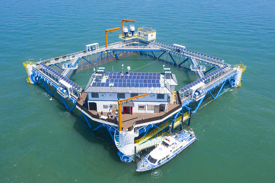 近年来,我省在烟台长岛开展海洋牧场保险,推动农业保险从陆地走向海洋 近年来,我省在烟台长岛开展海洋牧场保险,推动农业保险从陆地走向海洋