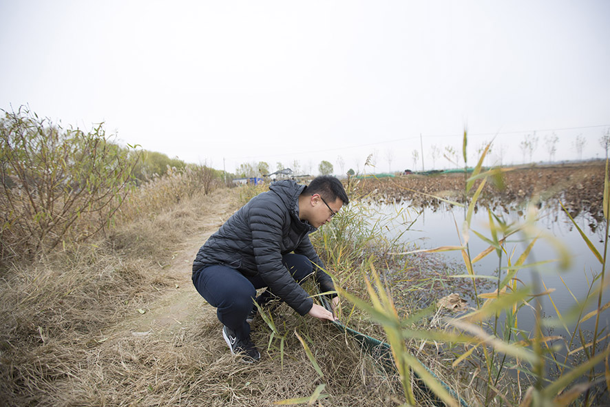有了大灾大户保险,泰安市宁阳县东疏镇老王庄的种粮大户王常舜种地更有信心了 有了大灾大户保险,泰安市宁阳县东疏镇老王庄的种粮大户王常舜种地更有信心了