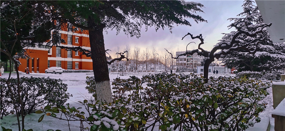 鲁东大学东校区美丽雪景。王一航 鲁东大学