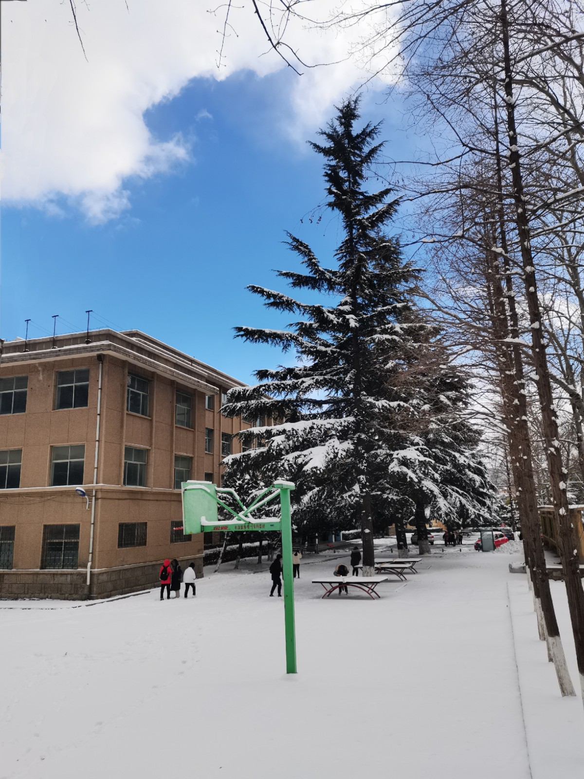不加修饰的湛蓝天空，与覆上了皑皑白雪的地面相映成趣。 王晓彤 鲁东大学外国语学院