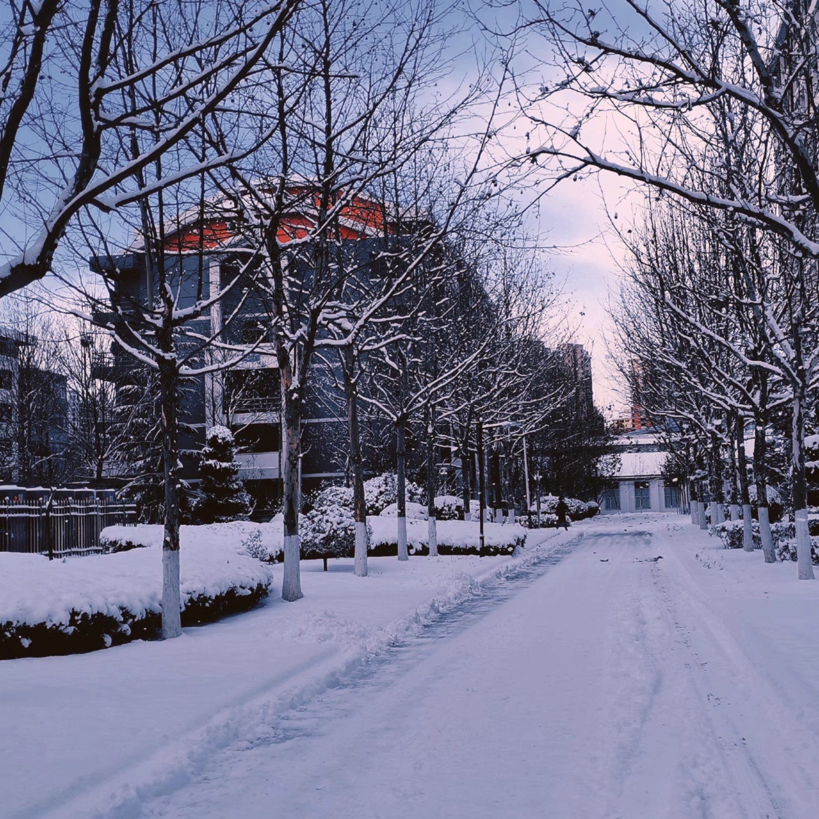 雪是上帝写给人间的诗，飘落在滨医的校园里，把冬天握在手心里，和雪花约好一起去旅行。路雪莹 滨州医学院信息管理与信息系统