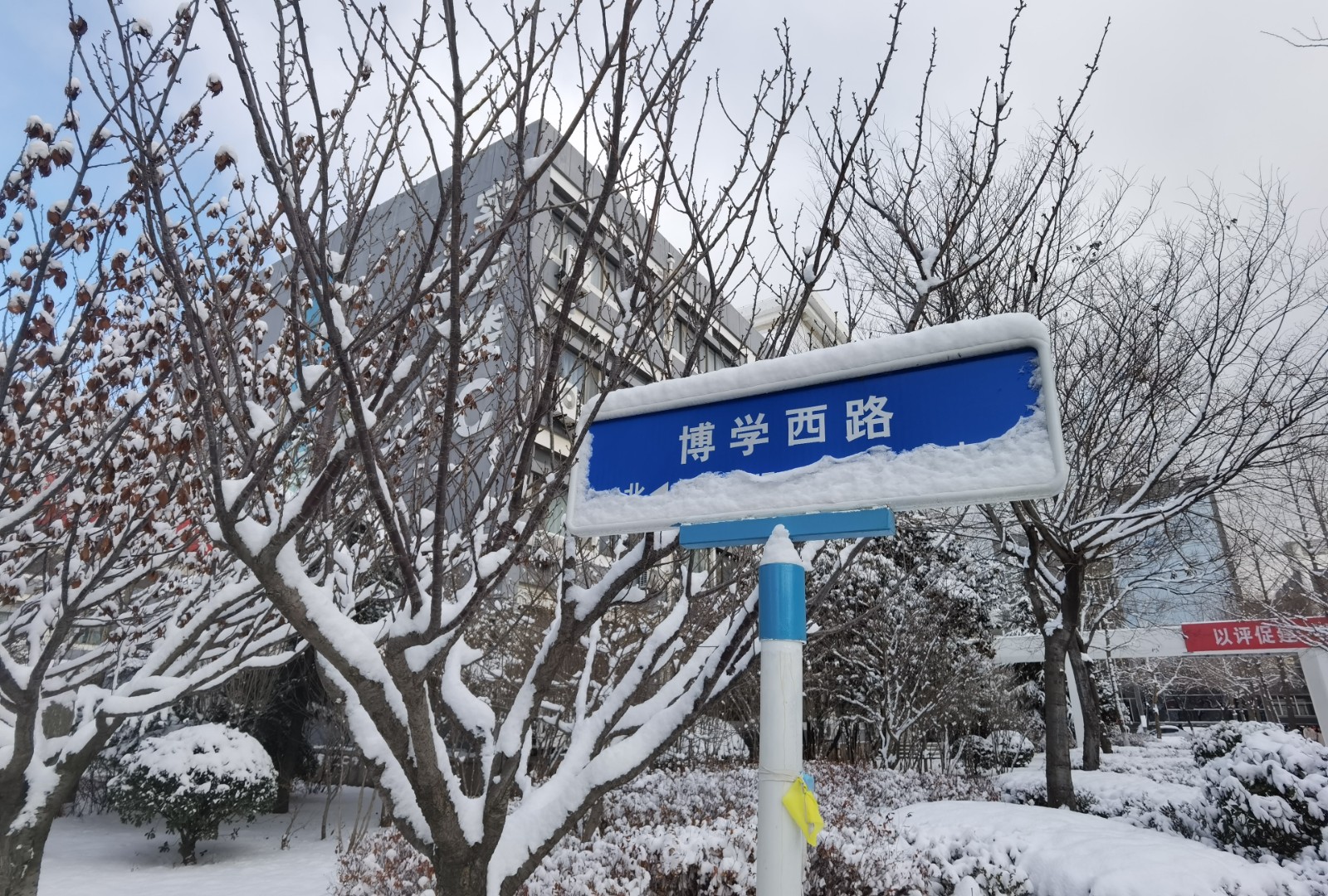 滨州医学院雪后美景。 王艳杰 滨州医学院第二临床医学院