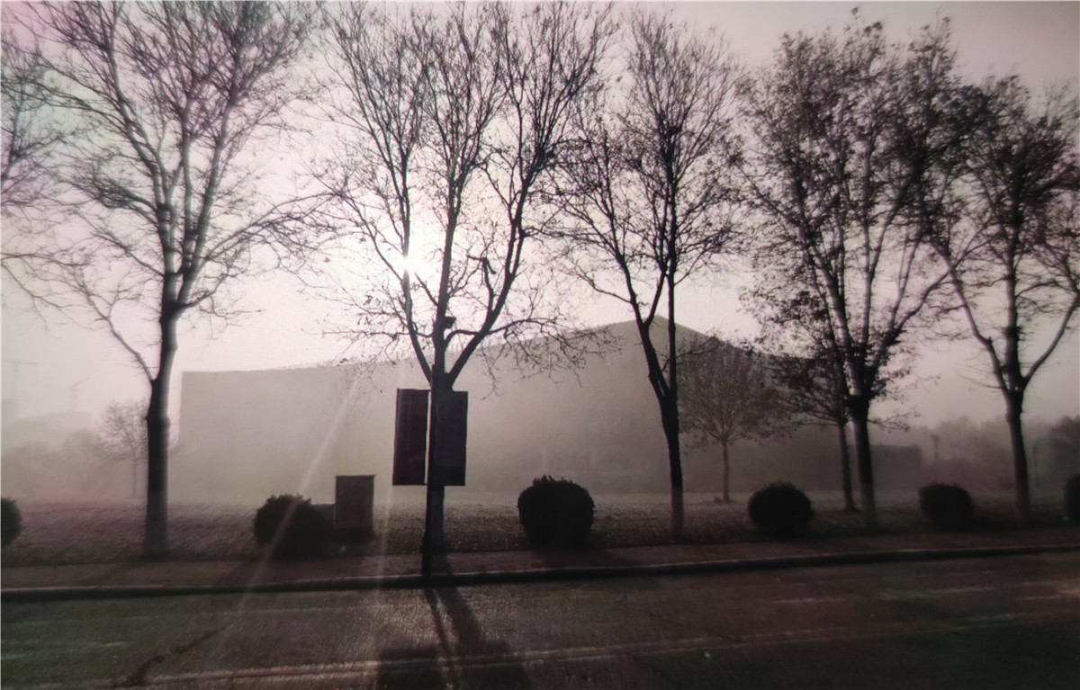 清晨的交院起了一些薄雾，几缕阳光穿过。 张海波 山东交通学院交通与物流工程学院