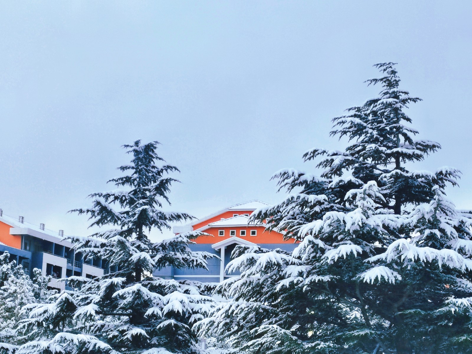如果可以，一起去看雪吧！ 李佳宁 滨州医学院中西医结合学院