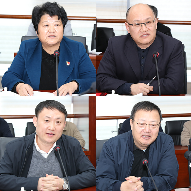 与会嘉宾代表发言（左上：高淑贞；右上：费剑春；左下：史家亮；右下：唐锡光）。