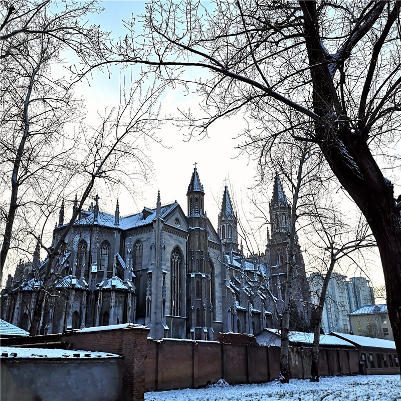 雪后的洪家楼天主教堂及校园一角。 罗淑宁 山东大学外国语学院应用英语系