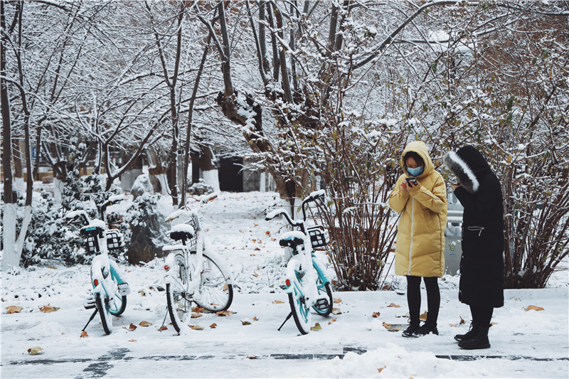 12月28日，今冬最强寒潮来袭，带来了山东大学中心校区的第一场降雪。 林婧璇 山东大学新闻传播学院