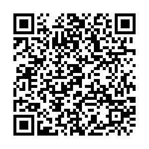 ����Ͷ������ֽ�����ӡˢ����ɽ��ʡͼ�������һ����������