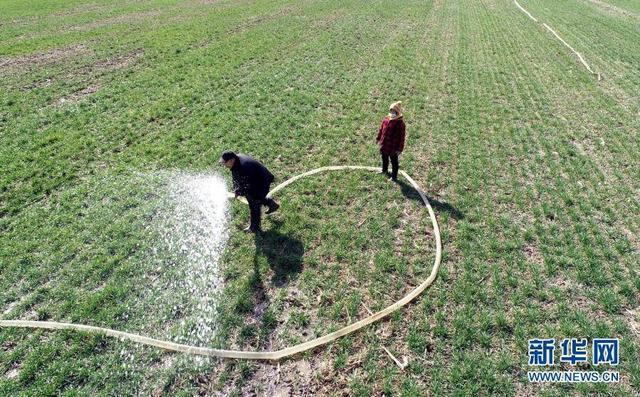 2月17日，山东省临沂市郯城县马头镇王店子村的农民为小麦浇水