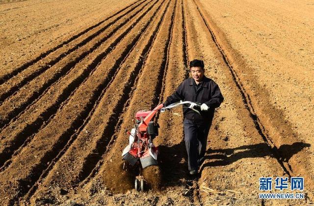 2月17日，山东省枣庄市山亭区城头镇夏庄村的农民在整理土地，准备播种马铃薯