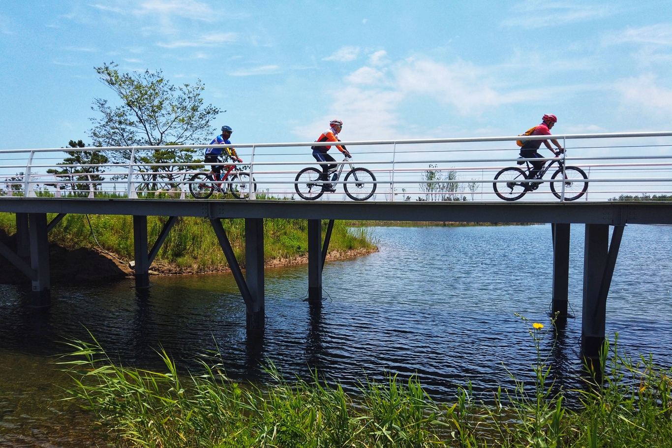 组图|日照：生态海边骑行绿道 骑出夏日欢乐