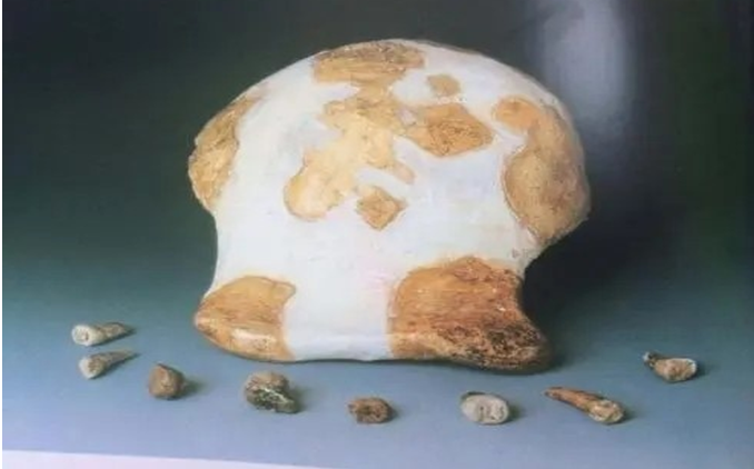 1981年9月，“沂源猿人”头盖骨化石在山东省沂源县土门镇九会村骑子鞍山边被发现。