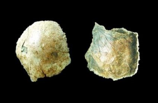 “许昌人”头盖骨化石，发现时间2007年12月17日。