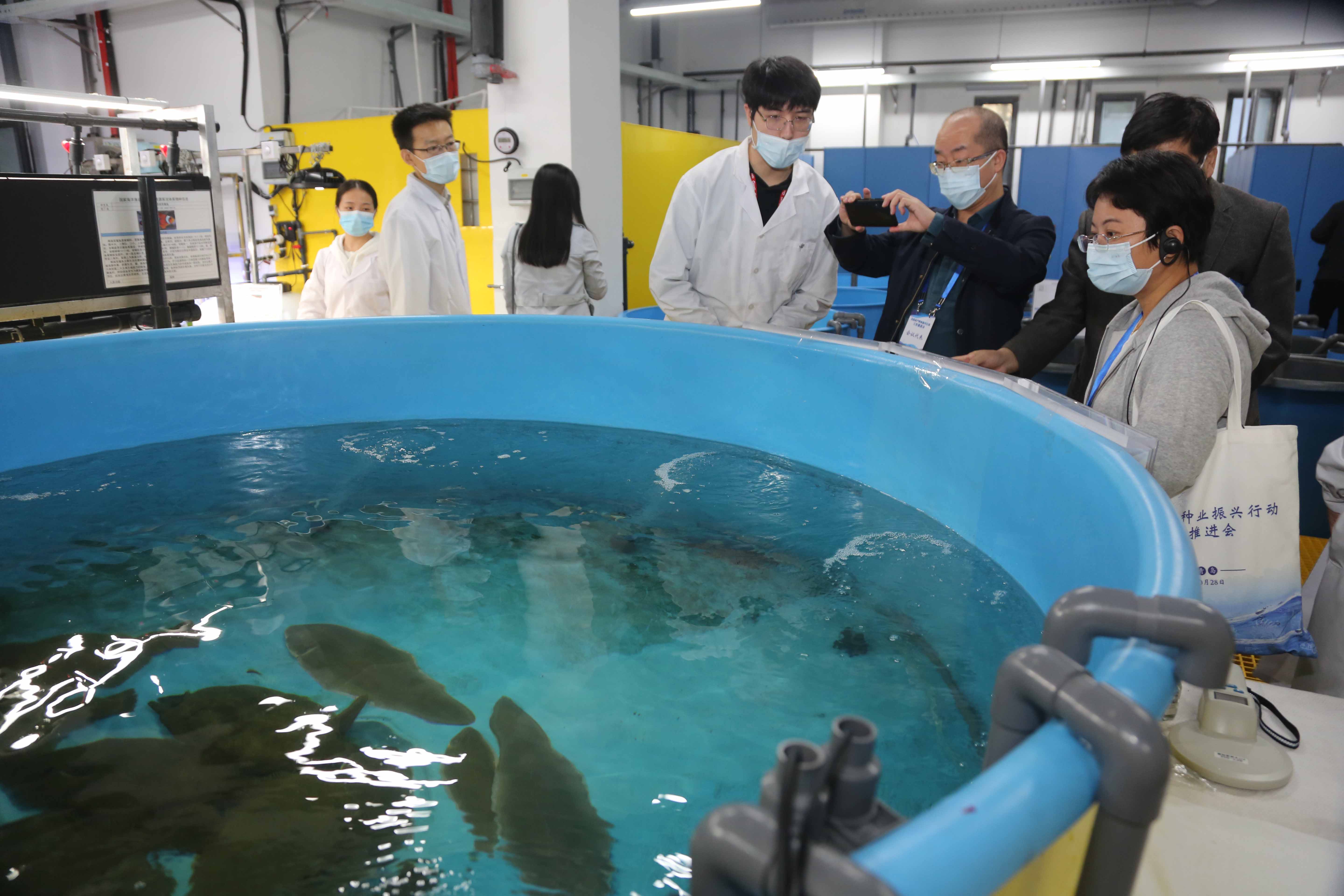 贵州大学“博士村长”生态渔业产业团队到贵州省罗甸斑鱯保种场开展亲鱼培育技术指导