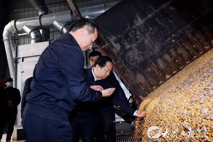 李干杰在齐河县调研时强调 加快粮食收储和秋种进度 确保颗粒归仓应播尽播