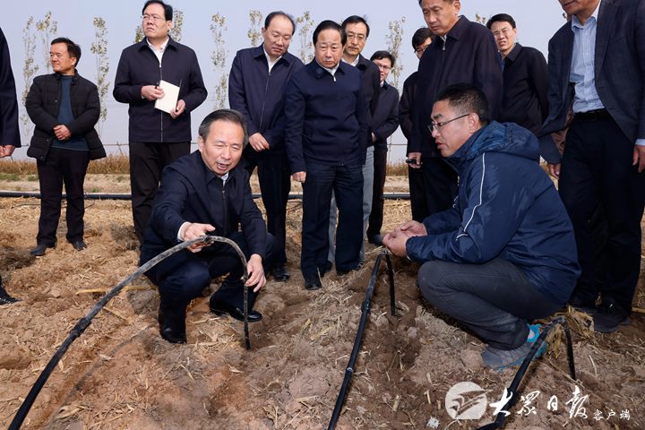 李干杰在齐河县调研时强调 加快粮食收储和秋种进度 确保颗粒归仓应播尽播