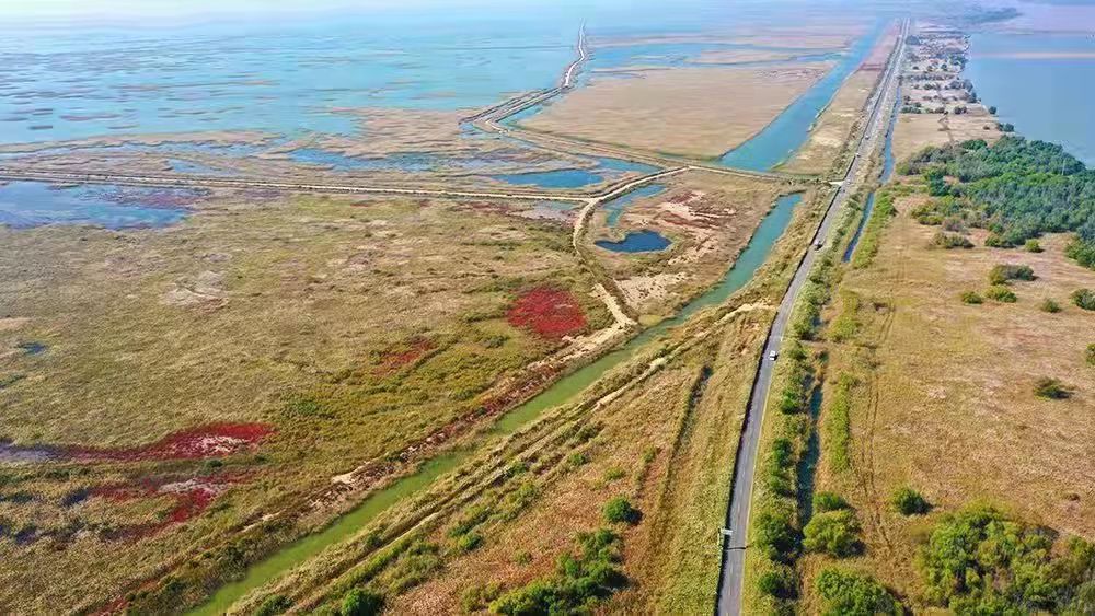 山东工行以金融力量助推黄河流域生态保护和高质量发展。