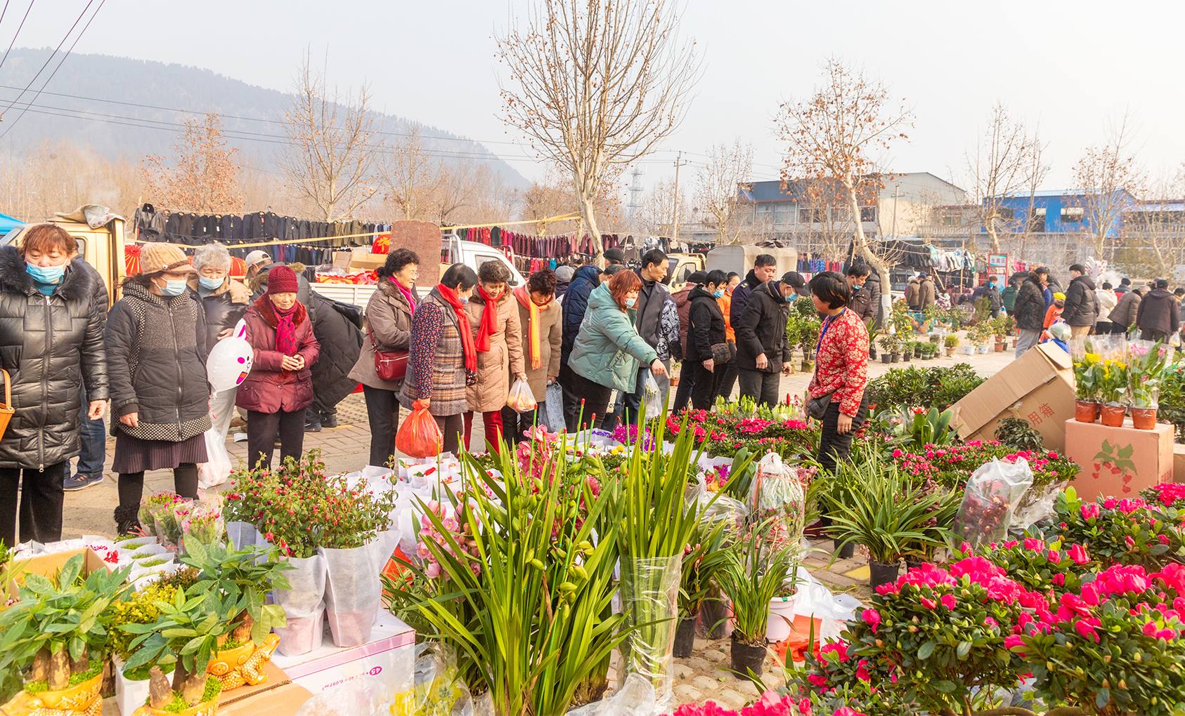 山东好景丨柳埠大集享受早来的年味儿