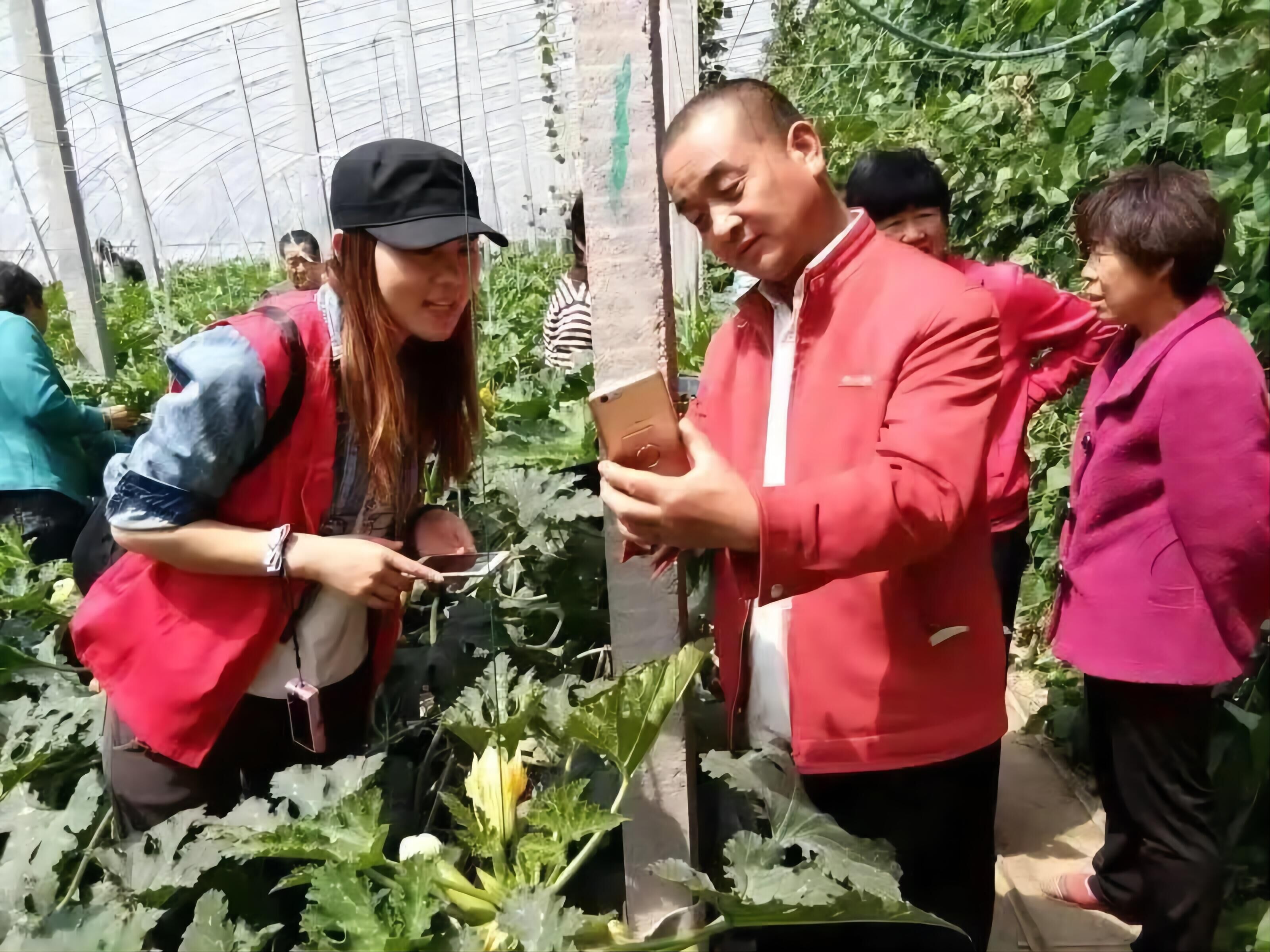 淄博市临淄区，山东思远农业开发有限公司的工作人员在田间地头教授“农保姆”APP的使用方法。
