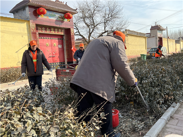 2月17日上午9点，刘桥镇赵庄绿化岗四位安置人员正在清理村文化广场旁绿化带里的垃圾杂物。（记者 陈巨慧 报道）