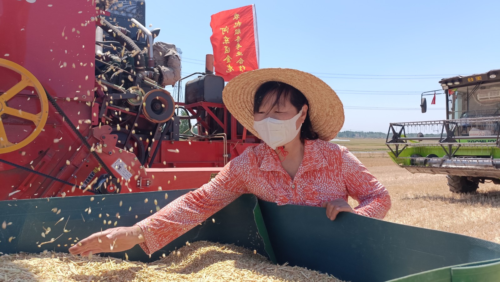 臨沂市河東區騰達農機專業合作社為河東區相公街道村民完成收割后，將小麥卸入村民的拖拉機中。