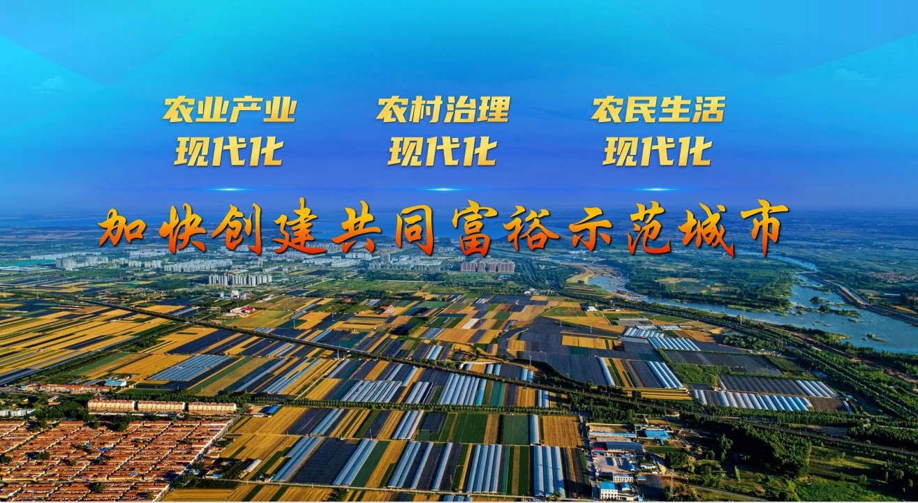 探索构建标准化,可推广的农业农村现代化指标体系,加速推动农业产业