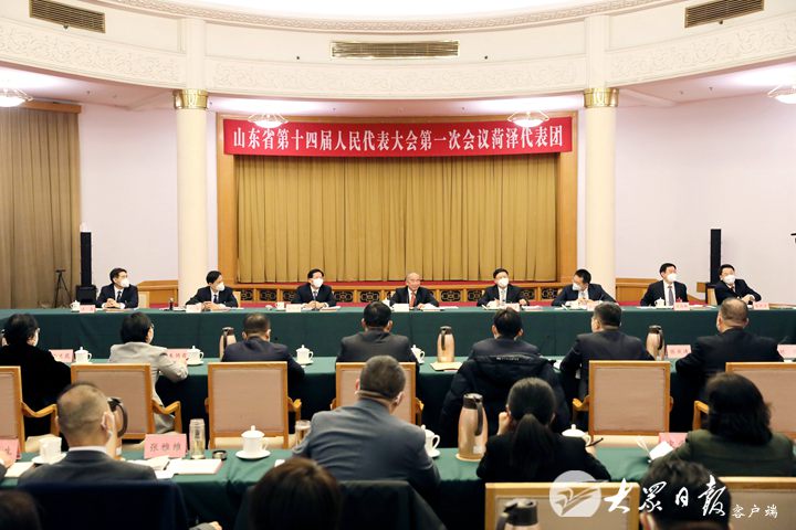 林武参加菏泽代表团审议时强调 坚定信心凝心聚力 坚定不移推动绿色低碳高质量发展