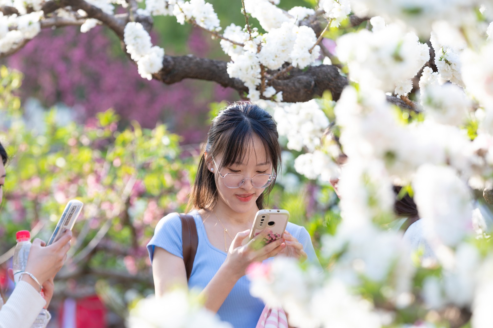 山东好景｜百花公园百花开，万紫千红醉游人