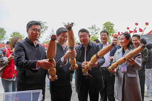 济宁市第十一届放鱼节在微山启动