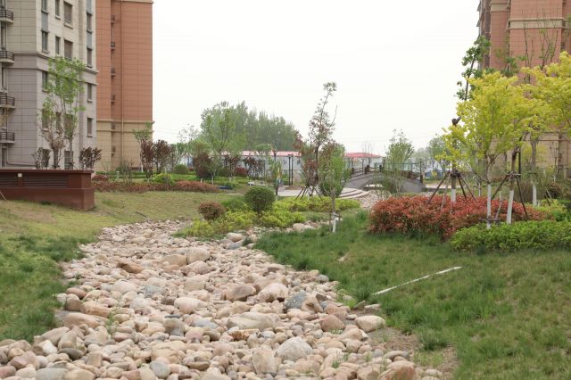 带装修交房、配备直饮水，起步区首批市民搬进鹊华九里居