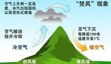 造成鲁豫京津冀高温的“暖高压脊”，怎么形成的？  