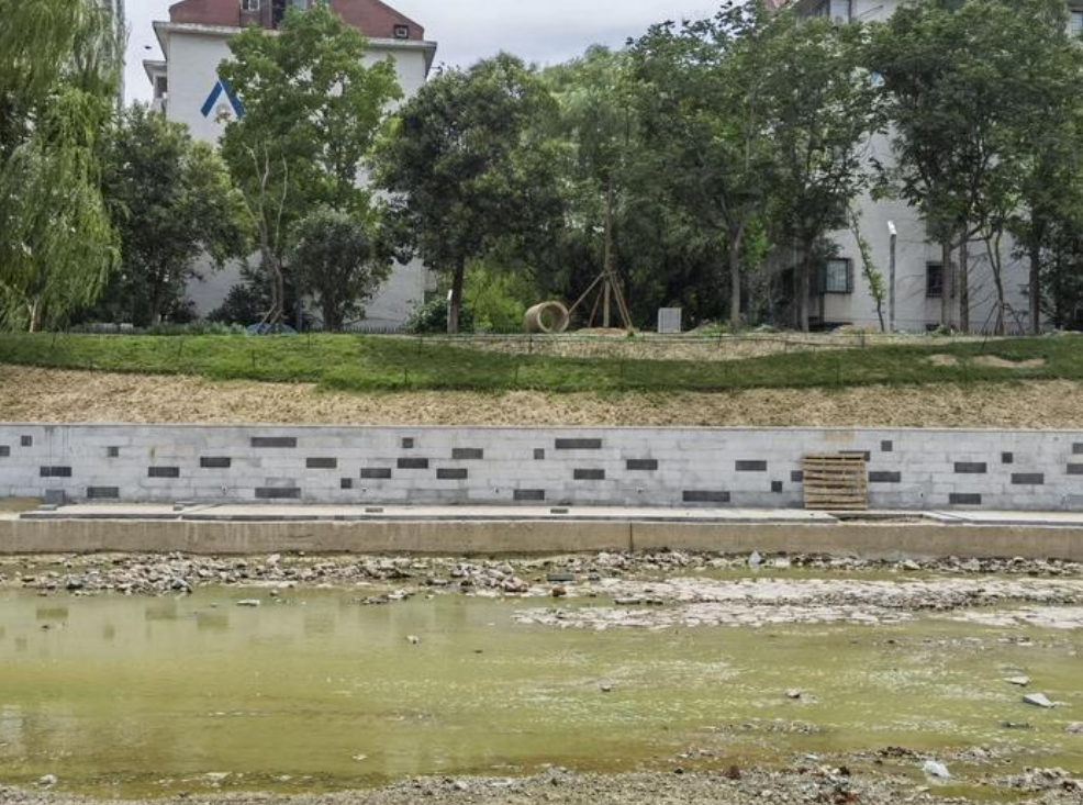 观澜亭丨“给河道贴瓷砖”？期待一个合理回应(图2)