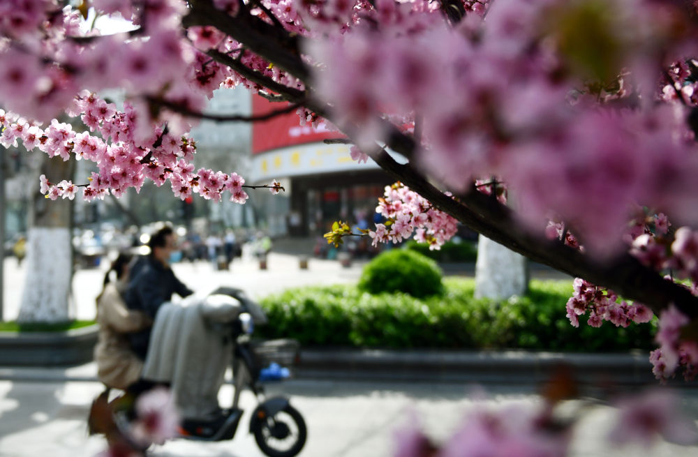 济南市民骑行在泉城路商业街上