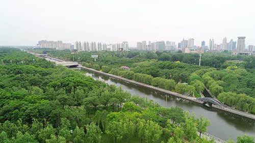 新立河公园