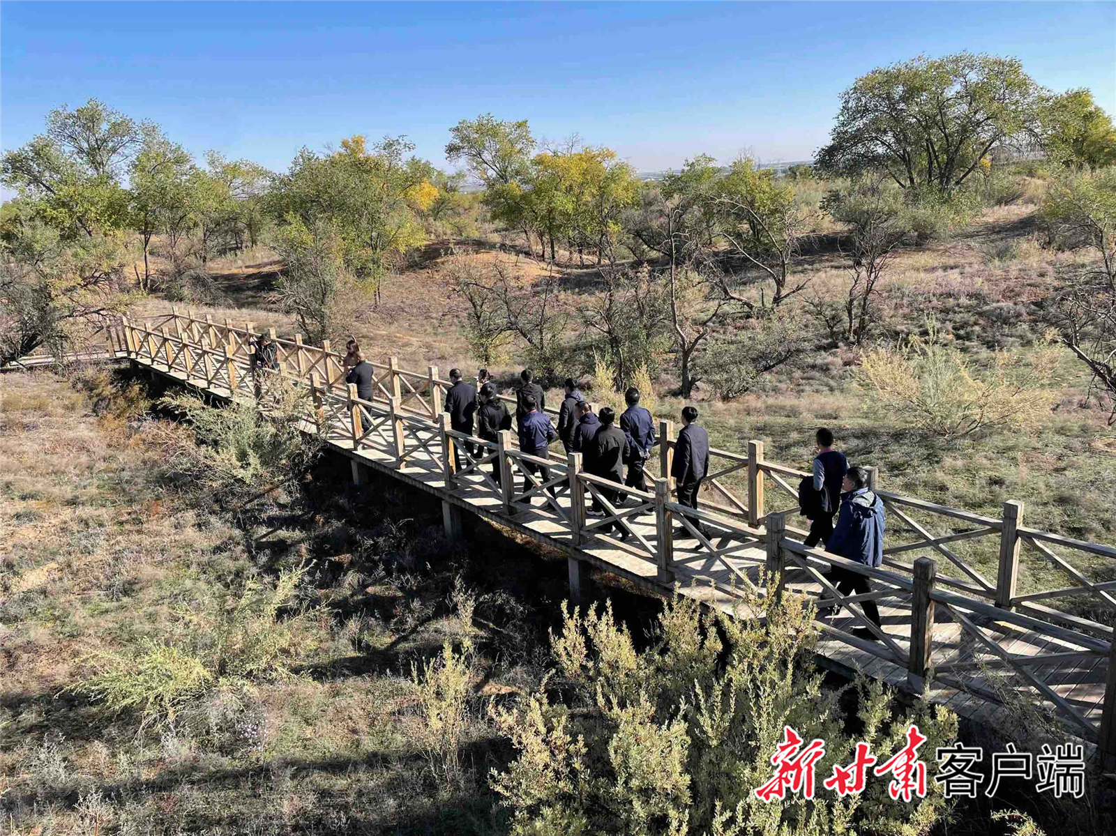媒体代表来到八步沙林场实地调研。