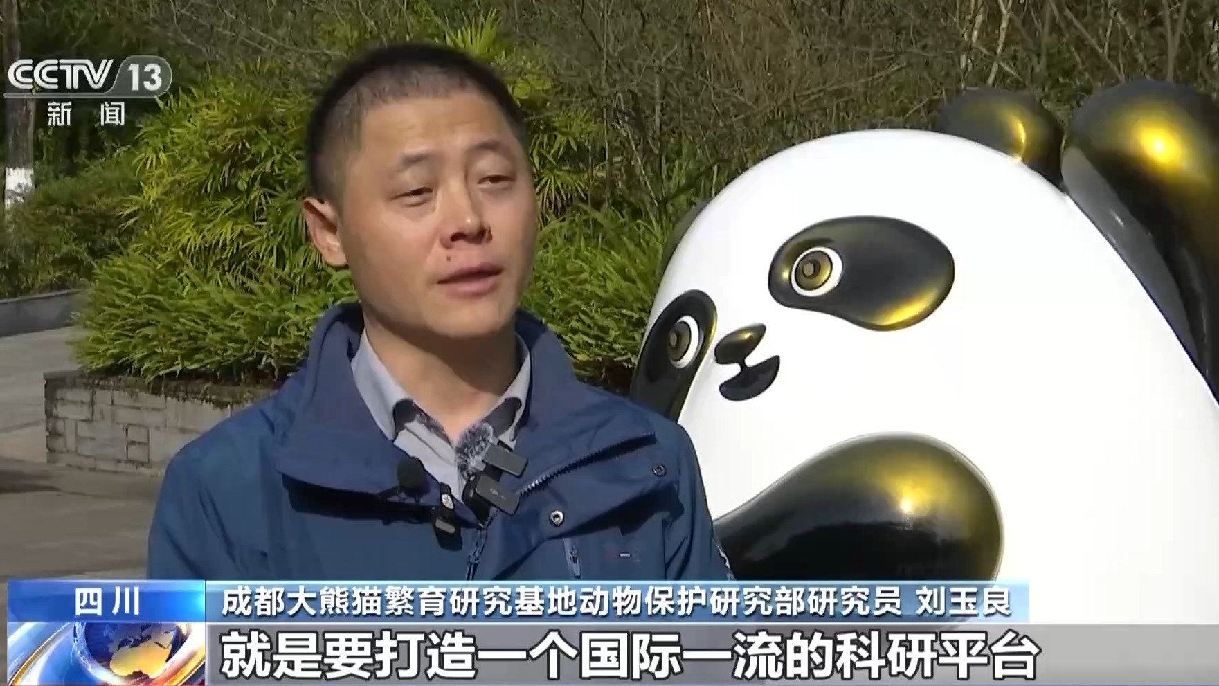 大熊猫国家保护研究中心揭牌，下一步如何更好守护“国宝”？