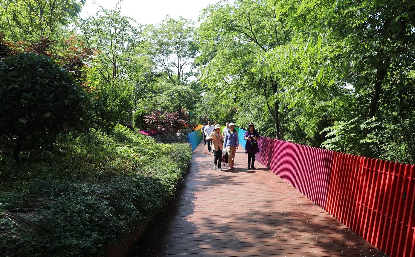 今年5月，青岛太平山山体公园全面开放，市民漫步太平山绿道。