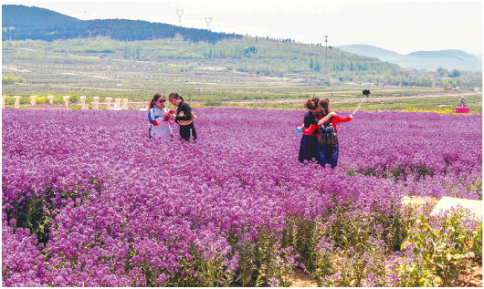 『大众日报客户端·海报新闻』假日热点直击丨短途游预约制，这个假期旅游特点多