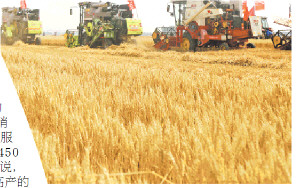 倾听山东种粮人的喜与忧 看麦田守望者的希望与探索
